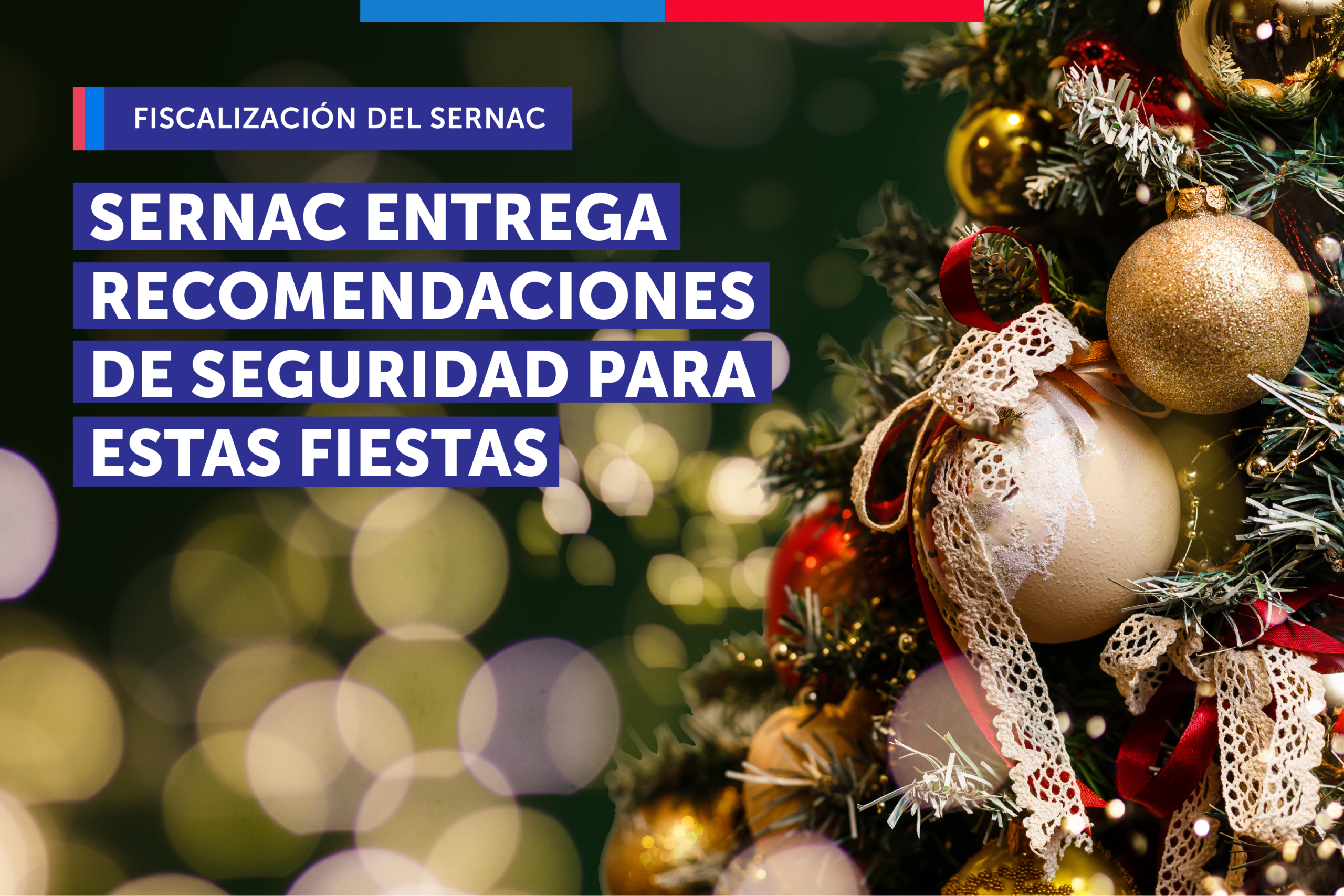 11.12.25 Seguridad NAVIDAD