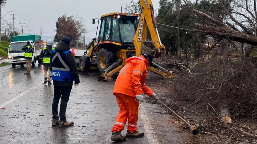 🌳 EQUIPOS MUNICIPALES DESPLEGADOS POR CAÍDA DE ÁRBOLES EN MELIPILLAProducto de las condiciones  (2)