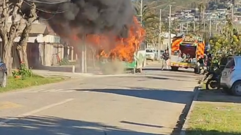 incendio-melitran-melipilla