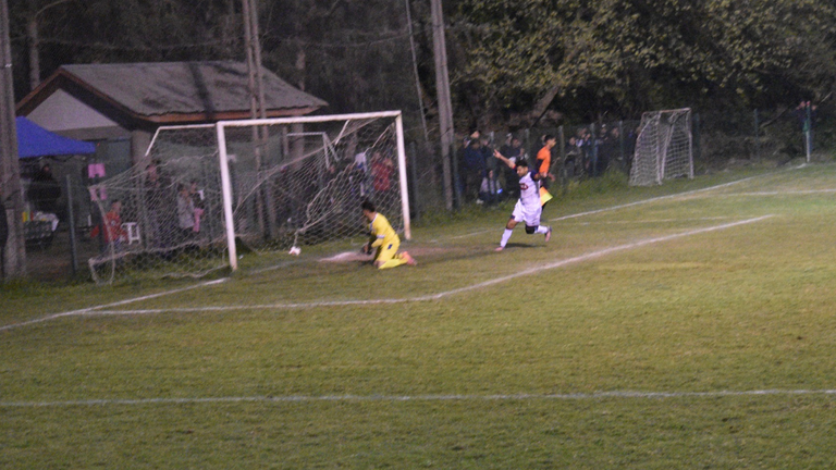 melipilla-chile-chile-fenafur