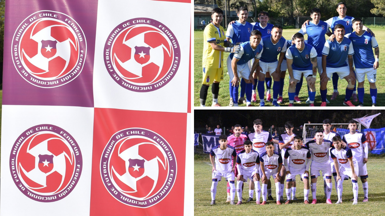 previa-fenafur-melipilla-chilechile
