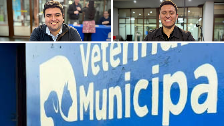 veterinaria-municipal-polemica